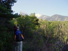 photo coins arrondis